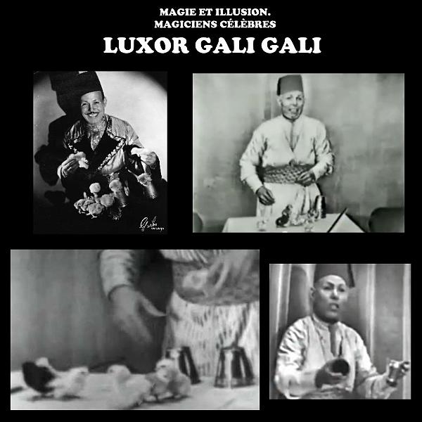 17 LUXOR GALI GALI.jpg